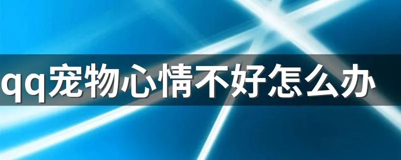 qq宠物心情不好怎么办 如何增加心情值