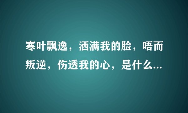 寒叶飘逸，洒满我的脸，唔而叛逆，伤透我的心，是什么歌曲的歌词