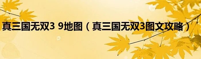 真三国无双3 9地图(真三国无双3图文攻略)