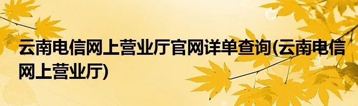 云南电信网上营业厅官网详单查询(云南电信网上营业厅)