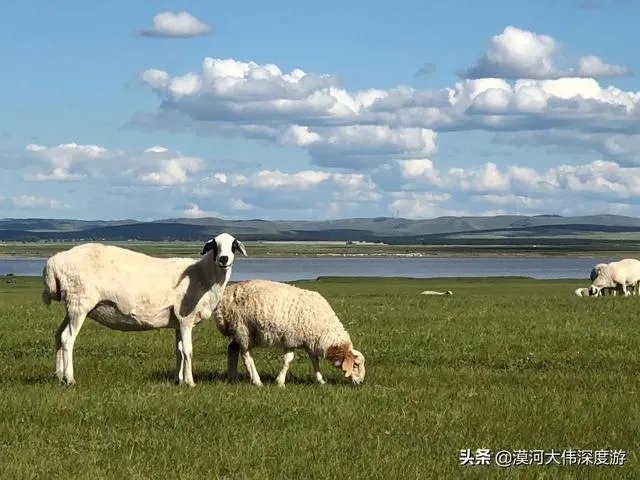 沙漠罕见8月降雪