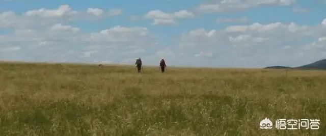 沙漠罕见8月降雪