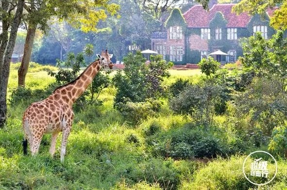 全球最惊艳的酒店有哪些?