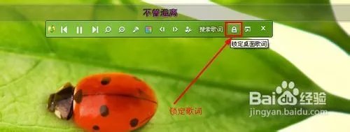 qq音乐歌词怎么锁定和解锁