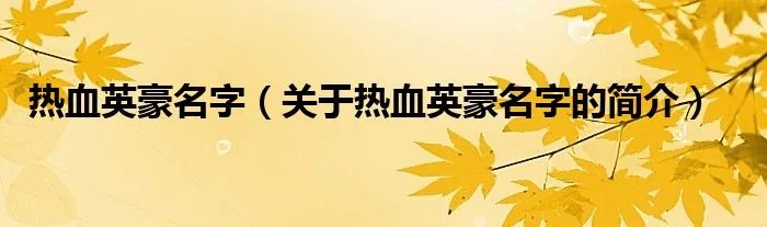 热血英豪名字（关于热血英豪名字的简介）