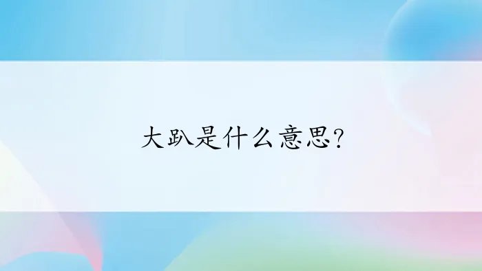 大趴是什么意思?