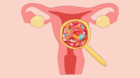 滴虫性阴炎有什么症状怎么治疗