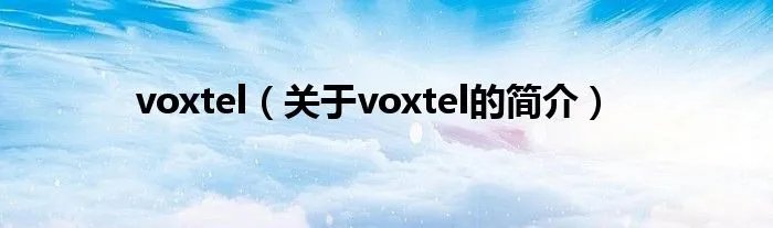 voxtel（关于voxtel的简介）