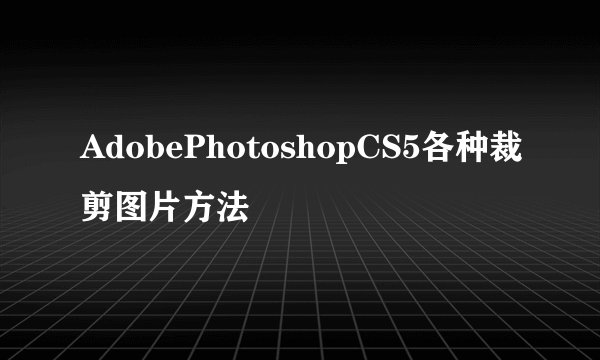 AdobePhotoshopCS5各种裁剪图片方法