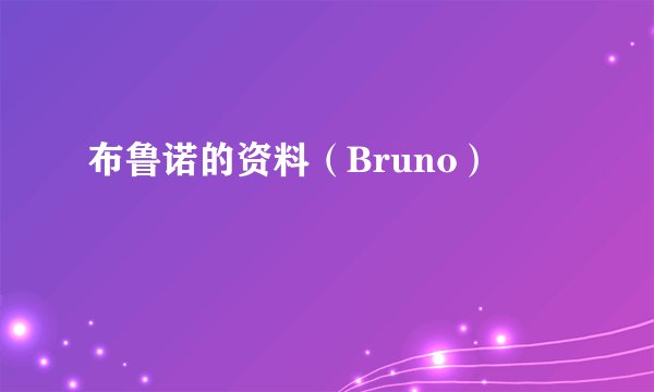 布鲁诺的资料（Bruno）