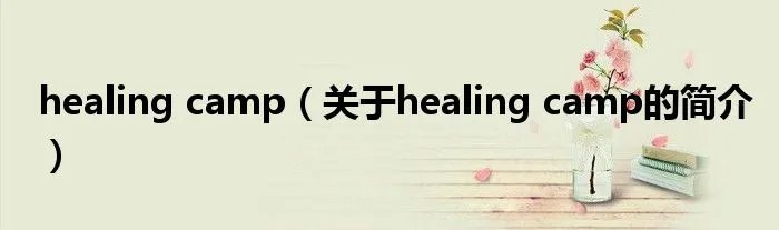 healing camp(关于healing camp的简介)