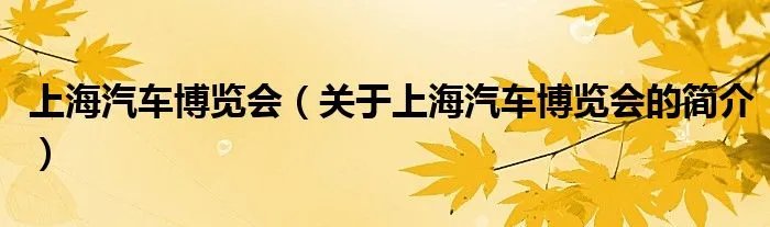 上海汽车博览会（关于上海汽车博览会的简介）