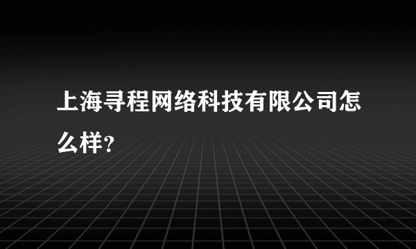 上海寻程网络科技有限公司怎么样？