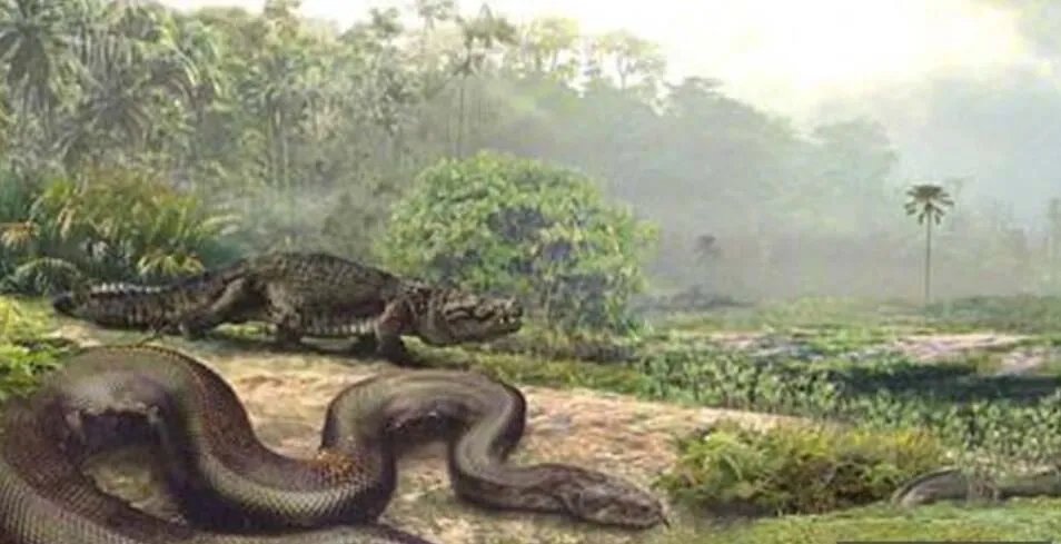 挖出大蛇真实事件 挖土机挖出17米巨蟒图(司机当场吓死)