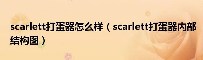 scarlett打蛋器怎么样（scarlett打蛋器内部结构图）