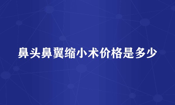 鼻头鼻翼缩小术价格是多少