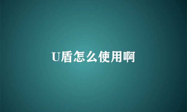 U盾怎么使用啊