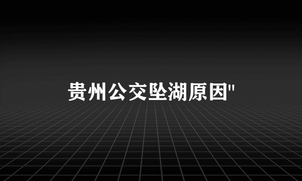 贵州公交坠湖原因