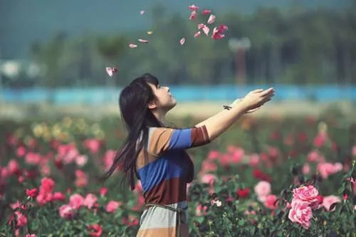 南城渐暖缓缓归小说 抖音沈于归费南城全文阅读地址