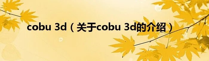 cobu 3d(关于cobu 3d的介绍)