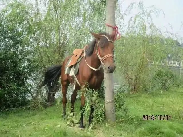 池州人生活水平怎么样