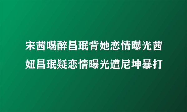 宋茜喝醉昌珉背她恋情曝光茜妞昌珉疑恋情曝光遭尼坤暴打