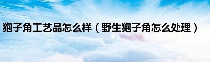 狍子角工艺品怎么样（野生狍子角怎么处理）