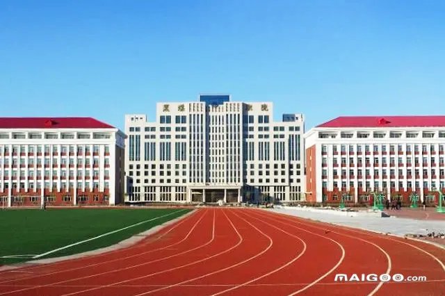 双鸭山有哪些大学 双鸭山市大学排名 双鸭山大学名单一览【大学名录】