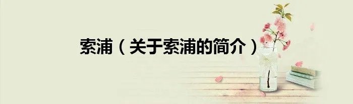 索浦（关于索浦的简介）