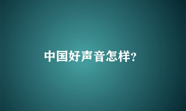 中国好声音怎样?