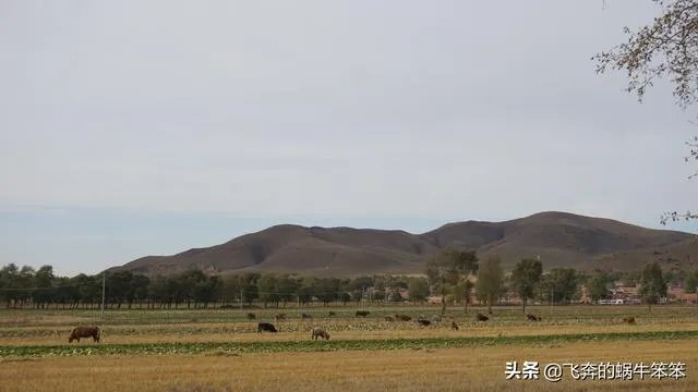 沙漠罕见8月降雪