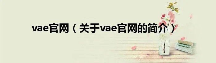vae官网（关于vae官网的简介）