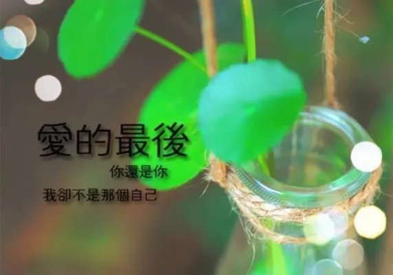 真心待价而沽黎思蕾小说 (古言)黎思蕾禹绍颜全文在线阅读