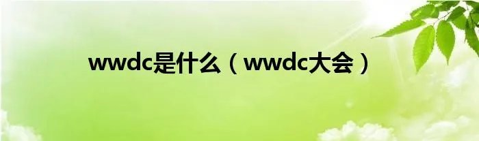 wwdc是什么（wwdc大会）
