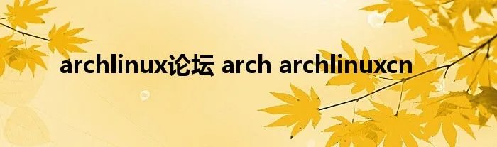archlinux论坛 arch archlinuxcn