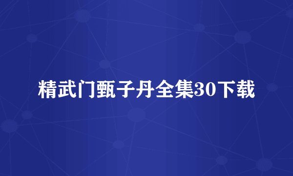 精武门甄子丹全集30下载