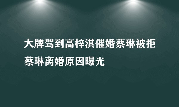 大牌驾到高梓淇催婚蔡琳被拒蔡琳离婚原因曝光
