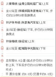 从青浦到上海市闵行区红松东路1116号 怎么去？