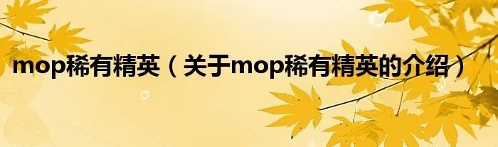 mop稀有精英（关于mop稀有精英的介绍）