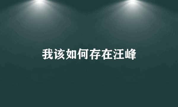 我该如何存在汪峰