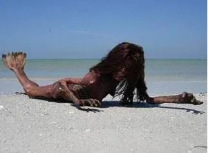 男美人鱼真身吓人图片:丑陋无比(组图)