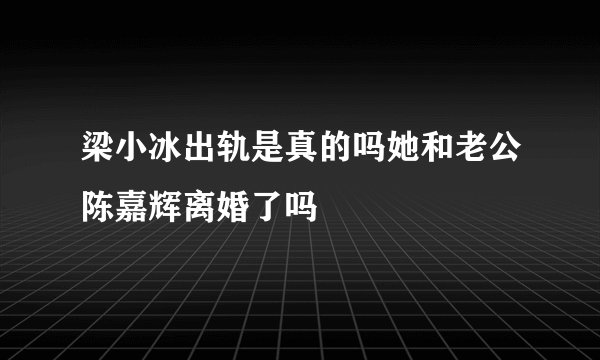 梁小冰出轨是真的吗她和老公陈嘉辉离婚了吗
