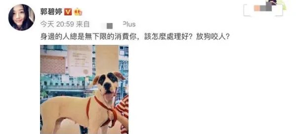 向太安慰郭碧婷是怎么回事 向太为什么安慰郭碧婷