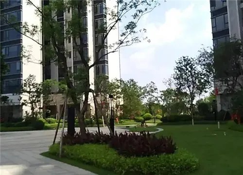 什么是容积率和绿化率