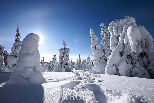 东北华北局地降温超过10℃，这个冬天回来的更早一些吗？