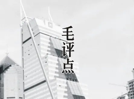 毛评点的介绍