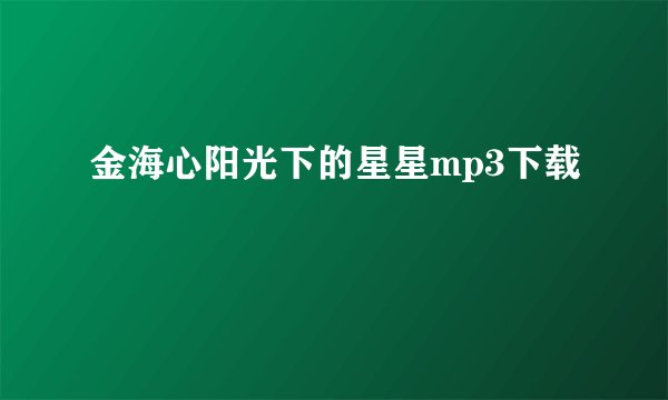 金海心阳光下的星星mp3下载