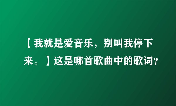 【我就是爱音乐，别叫我停下来。】这是哪首歌曲中的歌词？