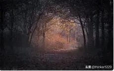 主角叫杨雨欣和老周的小说叫什么名字?