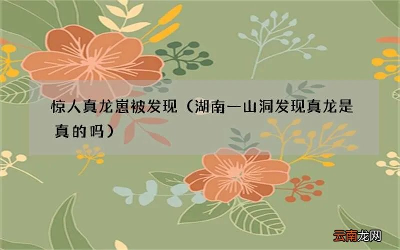 湖南一山洞发现真龙是真的吗 惊人真龙崽被发现